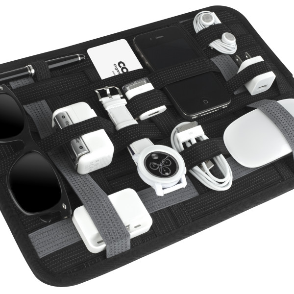 ארגונית לנסיעות