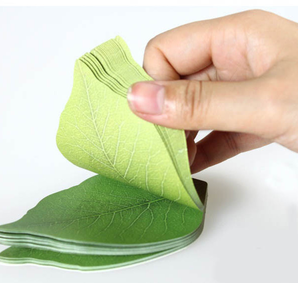 דפי ממו בצורת עלים.